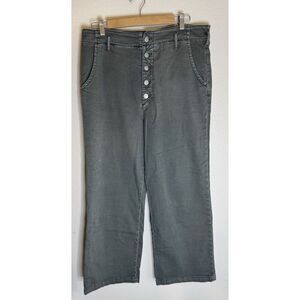 Anthropologie Pilcro Barrel Pants Button Fly High Rise Wide Leg Size 30 Y2K
